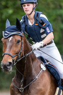 Late-Entry-Vielseitigkeit Langenfeld (11.+13./14.06.2020)