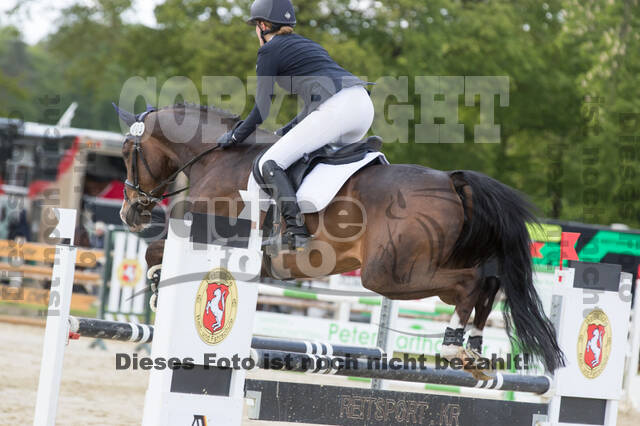 Sterne über Münster 2019 - CCI***S