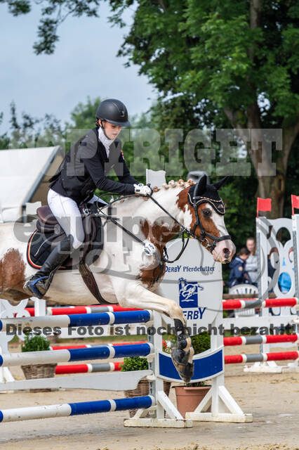 Goldene Schärpe 2021 - Ponys