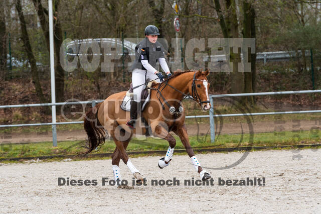 Eventing im Pferdesportzentrum Rheinland (Late Entry 14.03.2022)