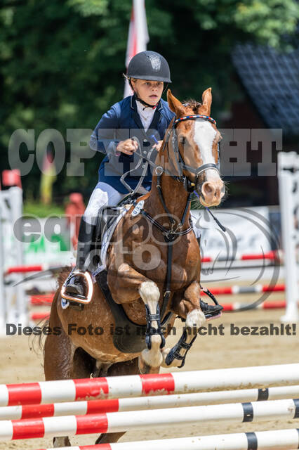 Goldene Schärpe 2021 - Ponys
