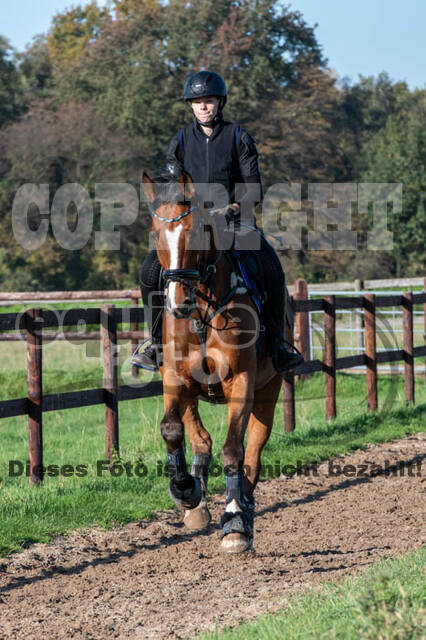 Vielseitigkeitslehrgang mit Jürg Kurbel (9.+10.11.2019)