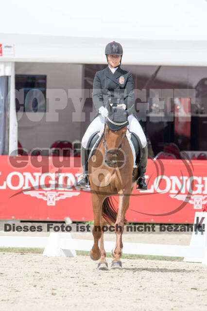 FEI European Championship Eventing 2017