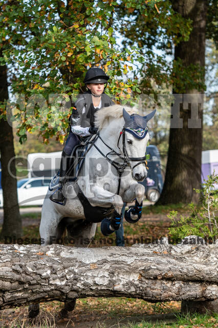 IGV Lehrgang der Sieger der Cups mit Frank Ostholt