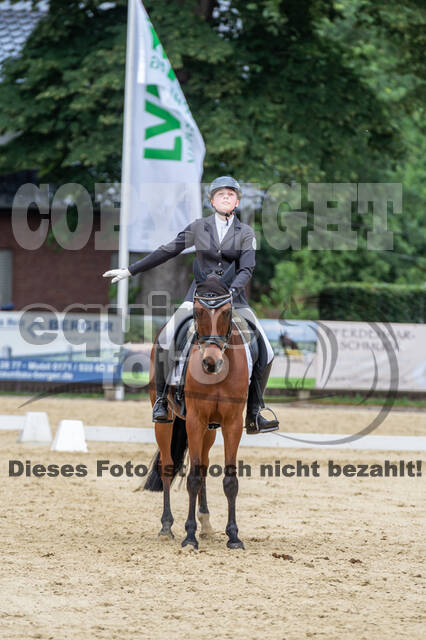 Goldene Schärpe 2021 - Ponys