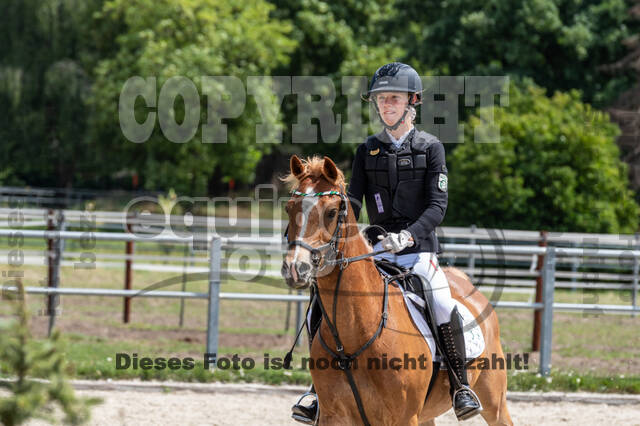 Late-Entry-Vielseitigkeit Langenfeld (06.+07.07.2020)