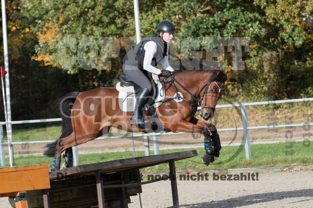 IGV Lehrgang der Sieger der Cups mit Frank Ostholt
