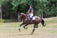 Late-Entry Vielseitigkeit Hamminkeln/Wesel (01.+02.08.2020)