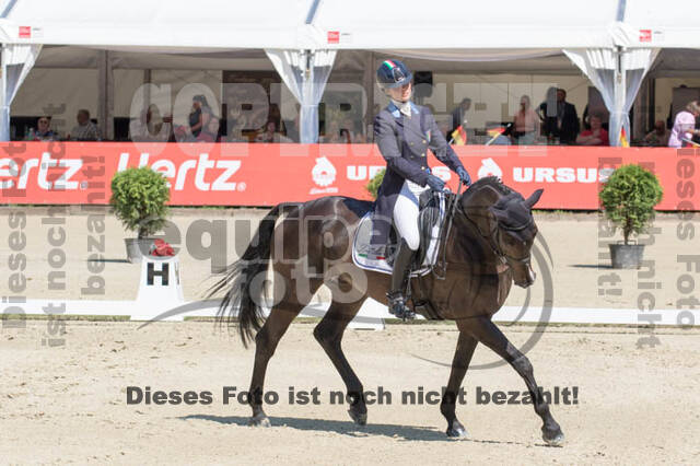 FEI European Championship