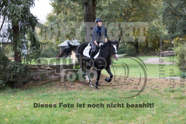 IGV Lehrgang der Sieger der Cups mit Frank Ostholt