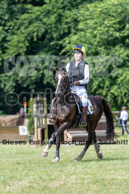 Goldene Schärpe 2021 - Ponys