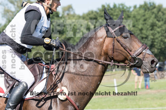 FEI European Championship Eventing 2019
