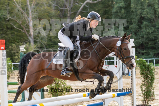 RFV Dinslaken-Hiesfeld (Herbstturnier)