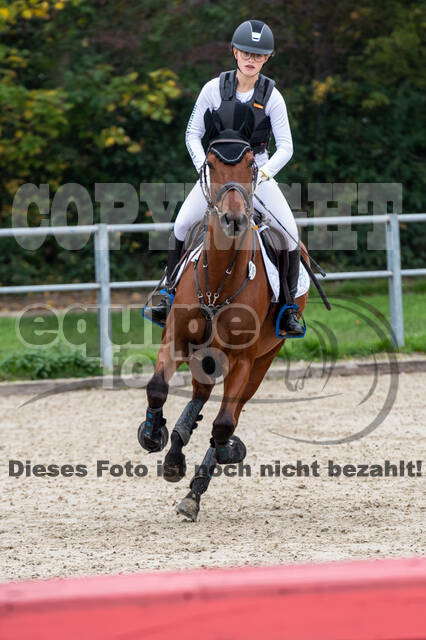 Goldene Schärpe 2020 - Pferde