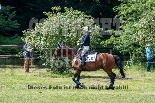 Goldene Schärpe 2021 - Ponys