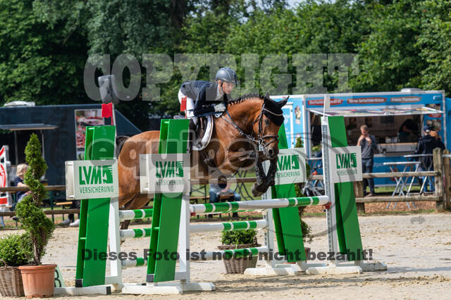 Goldene Schärpe 2021 - Ponys