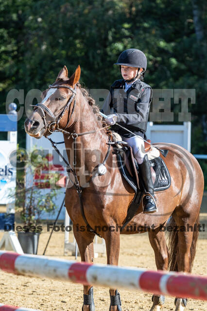 RFV Dinslaken-Hiesfeld (Herbstturnier)