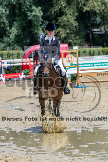 Goldene Schärpe 2021 - Ponys