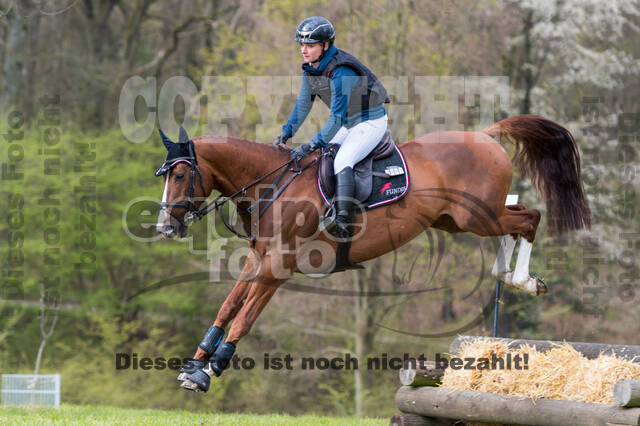 Julia Krajewski , Chilli Morning 4