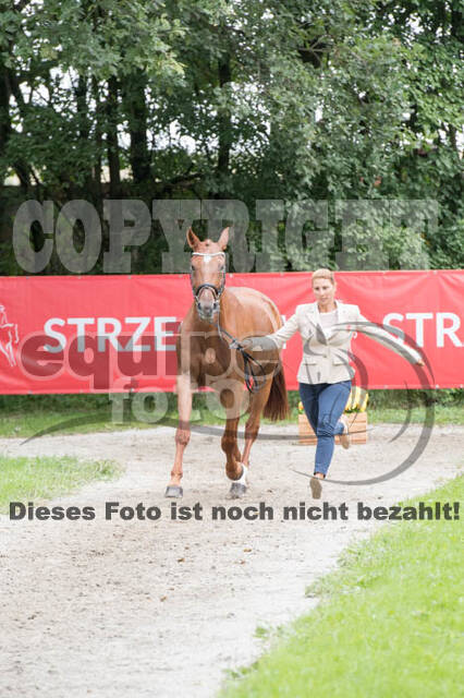 FEI European Championship Eventing 2017