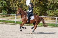 IGV Lehrgang der Sieger der Cups mit Frank Ostholt