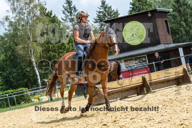 Hunter Geländetraining 10.07.2021 (Sonsbeck)