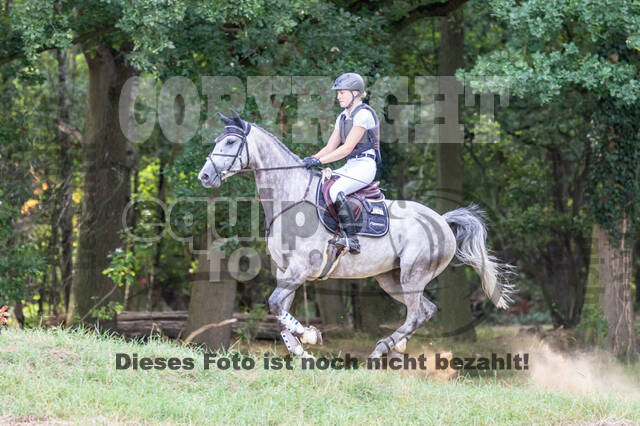 Late-Entry Vielseitigkeit Hamminkeln/Wesel (01.+02.08.2020)