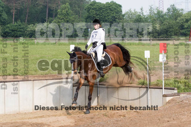Vielseitigkeitsturnier ZRFV von Lützow Hamminkeln