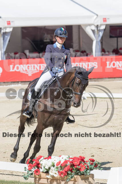 FEI European Championship