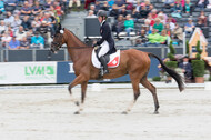 FEI European Championship Eventing 2019