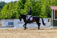 Westerstede Horse Trials 2021