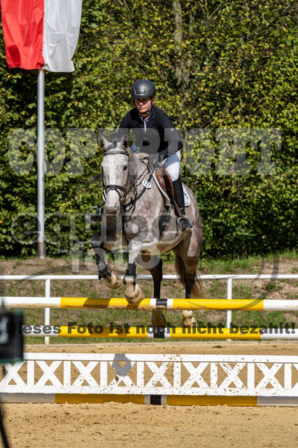 RFV Dinslaken-Hiesfeld (Herbstturnier)