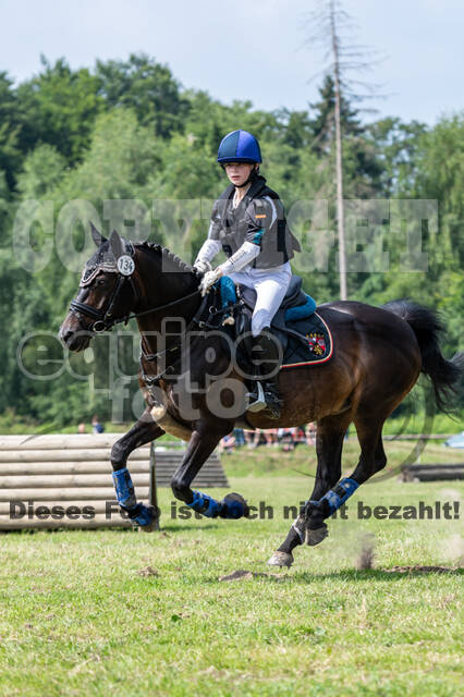 Goldene Schärpe 2021 - Ponys