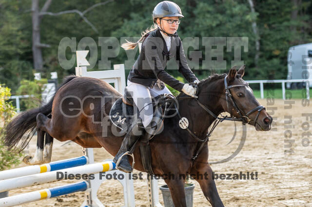 RFV Dinslaken-Hiesfeld (Herbstturnier)
