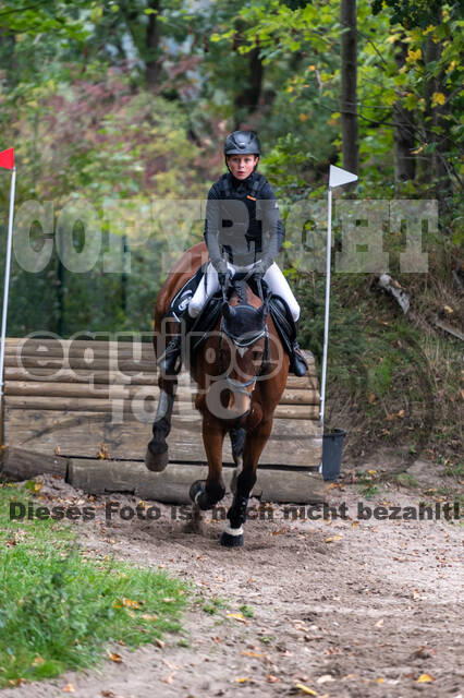 Goldene Schärpe 2020 - Pferde