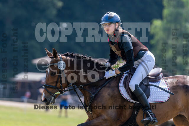Goldene Schärpe 2021 - Ponys