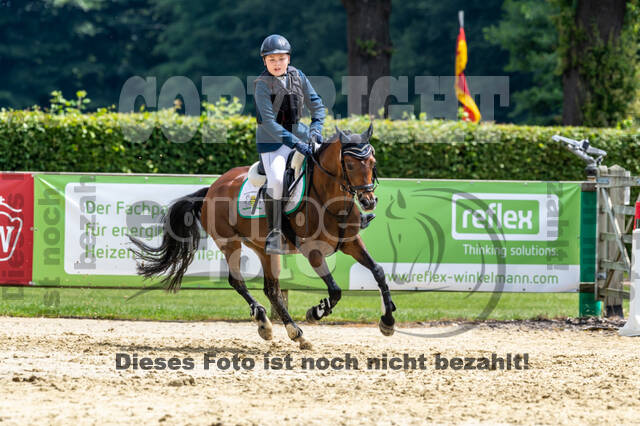 Goldene Schärpe 2021 - Ponys