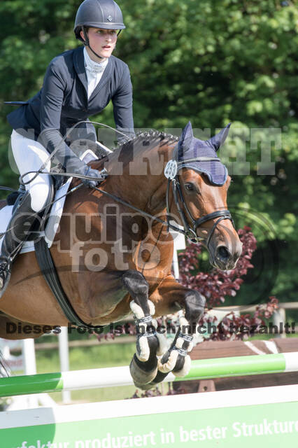 Vielseitigkeitsturnier ZRuFV von Lützow Hamminkeln