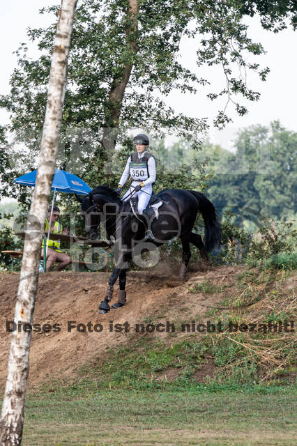 De Peelbergen (August 2020)