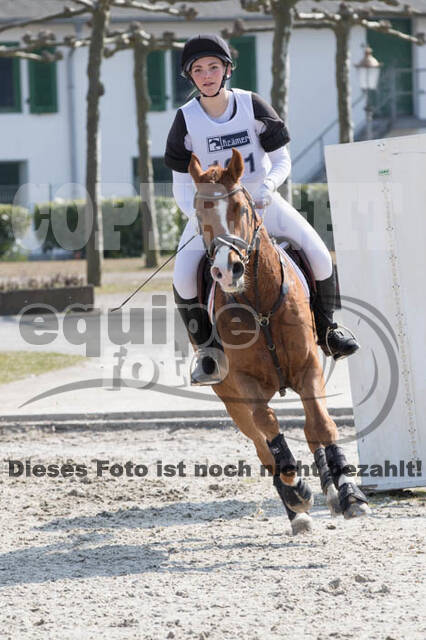 Eventing Langenfeld 2018