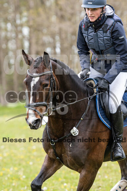 Geländepferdetag beim ZRFV von Lützow Hamminkeln (08.05.2021)