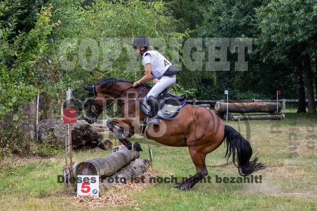 Late-Entry Vielseitigkeit Hamminkeln/Wesel (01.+02.08.2020)