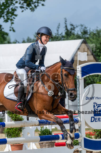 Goldene Schärpe 2021 - Ponys