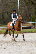 Eventing im Pferdesportzentrum Rheinland (Late Entry 14.03.2022)