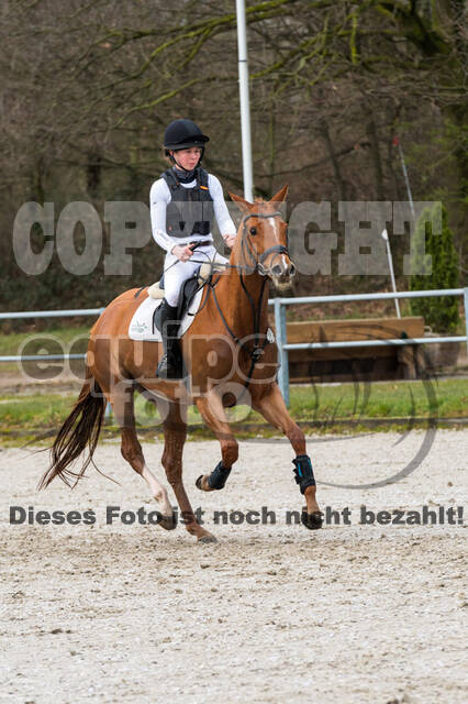 Eventing im Pferdesportzentrum Rheinland (Late Entry 14.03.2022)