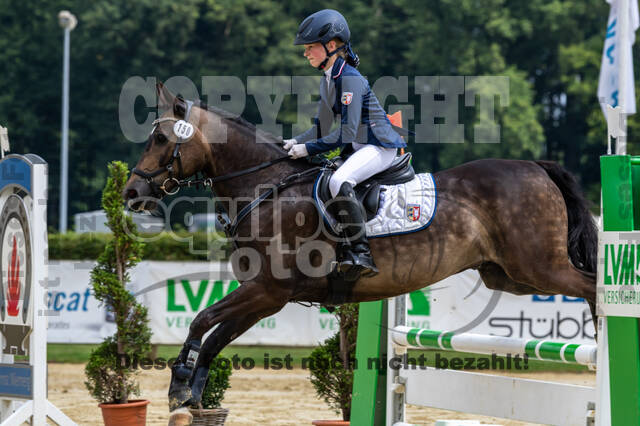 Goldene Schärpe 2021 - Ponys