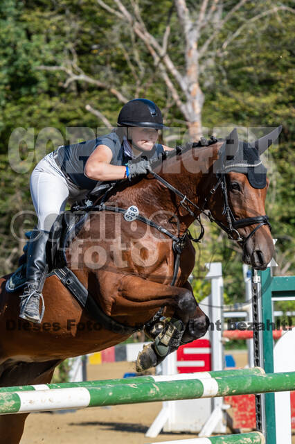 RFV Dinslaken-Hiesfeld (Herbstturnier)