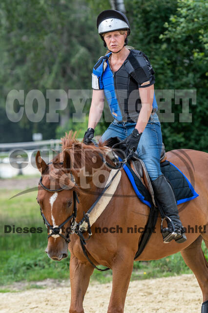 Hunter Geländetraining 10.07.2021 (Sonsbeck)