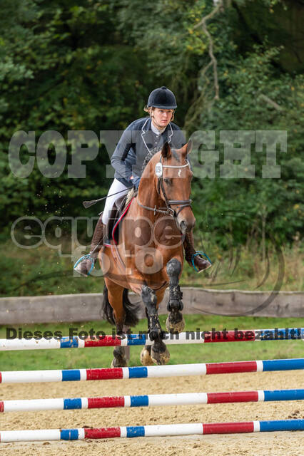 Vielseitigkeit RSV Wesel Obrighoven (26.+27.09.2020)