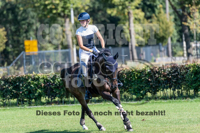 Kronenberg - De Peelbergen (August 2020)